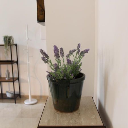 Ferienwohnung Albadamar Terrace Trani Exterior foto